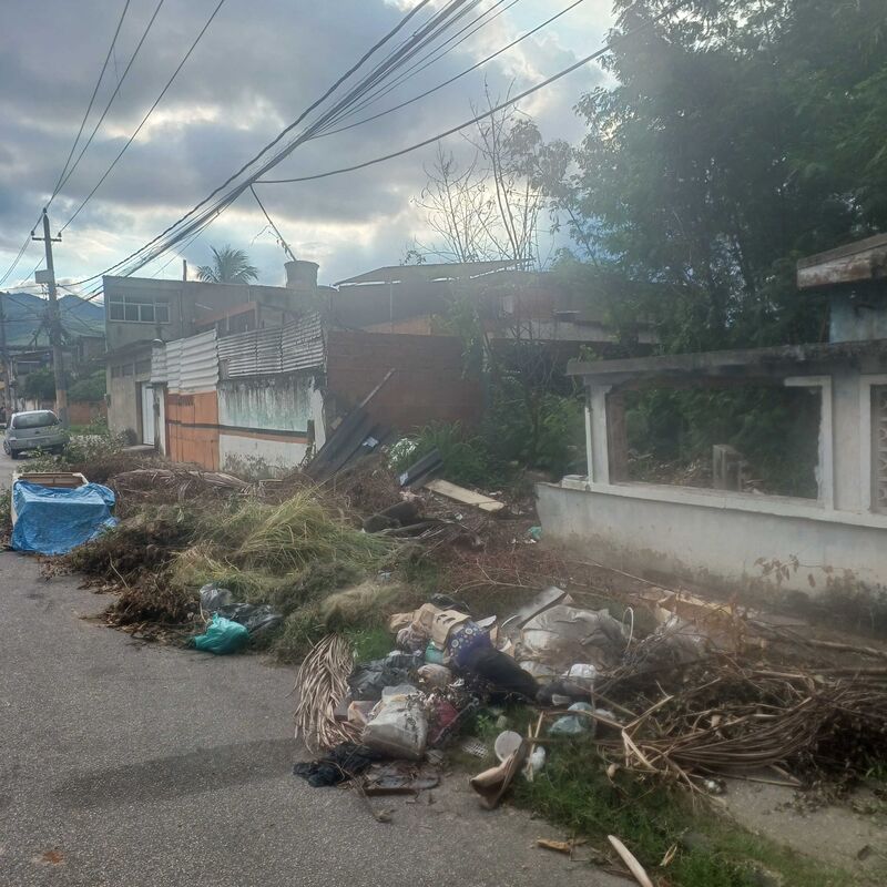 Imagem da publicação