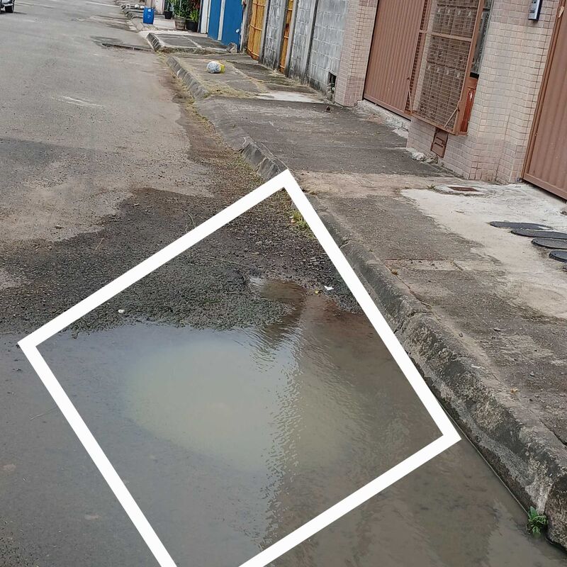 Imagem da publicação