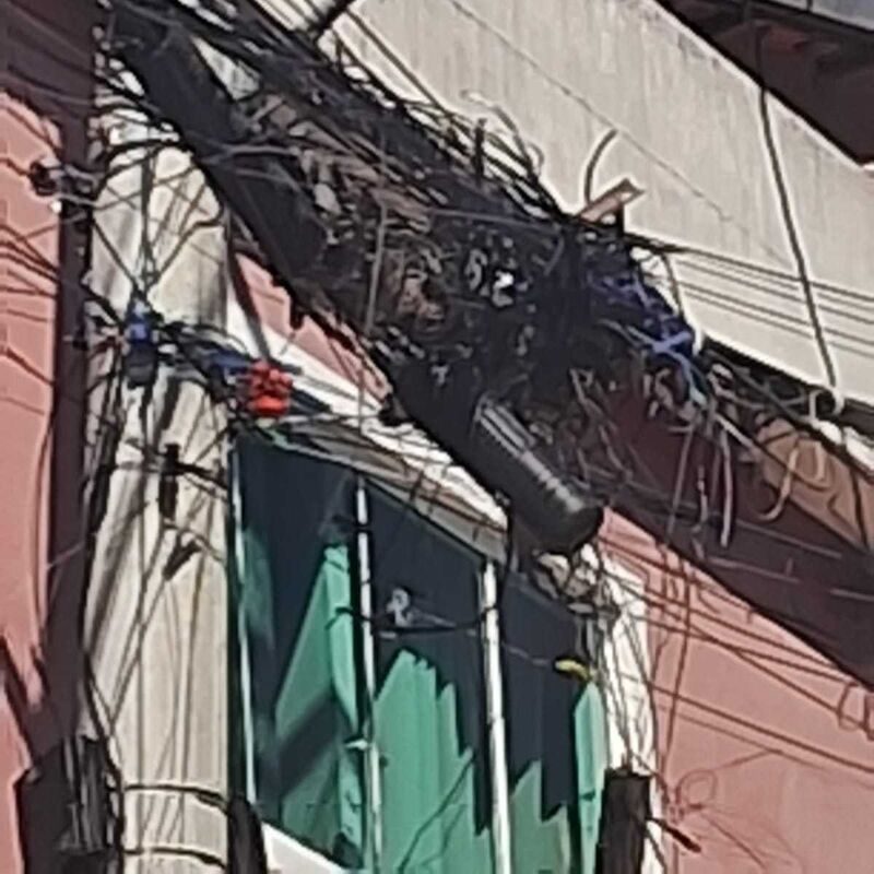 Imagem da publicação
