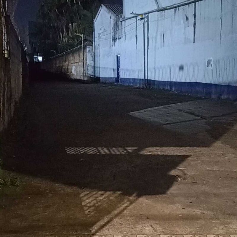 Imagem da publicação