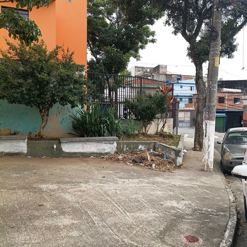 Imagem da publicação