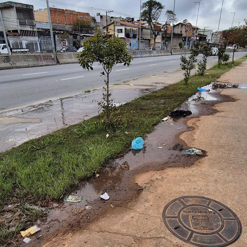Imagem da publicação