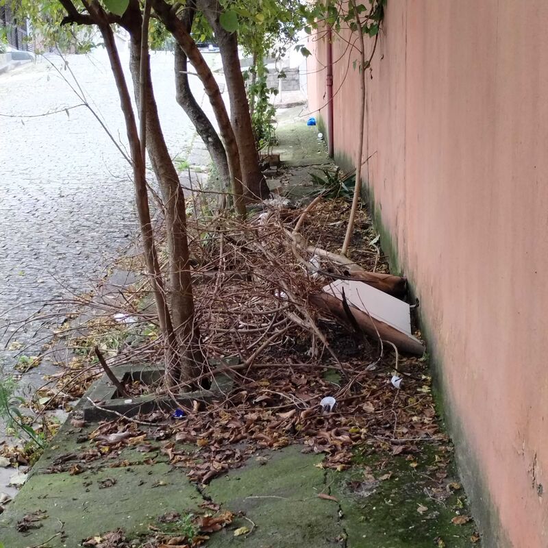Imagem da publicação
