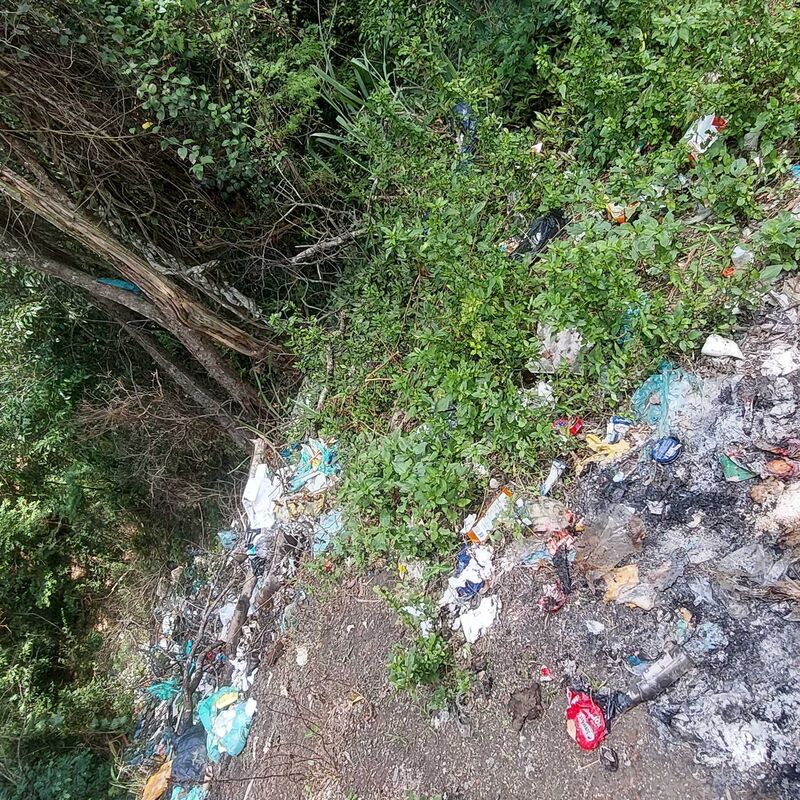 Imagem da publicação