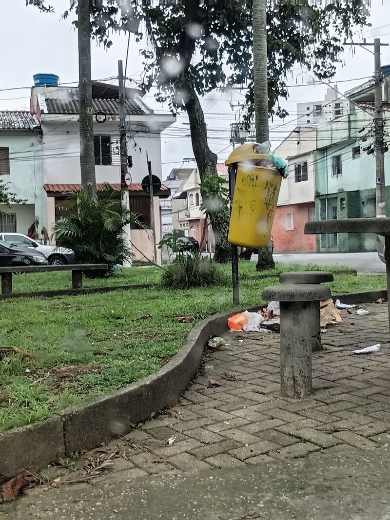 Imagem da publicação