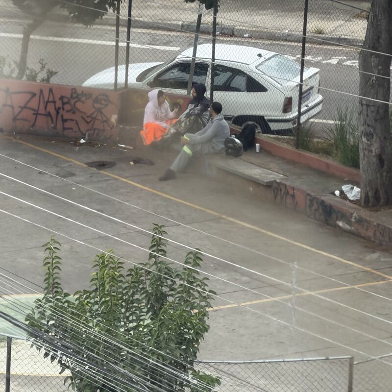 Imagem da publicação