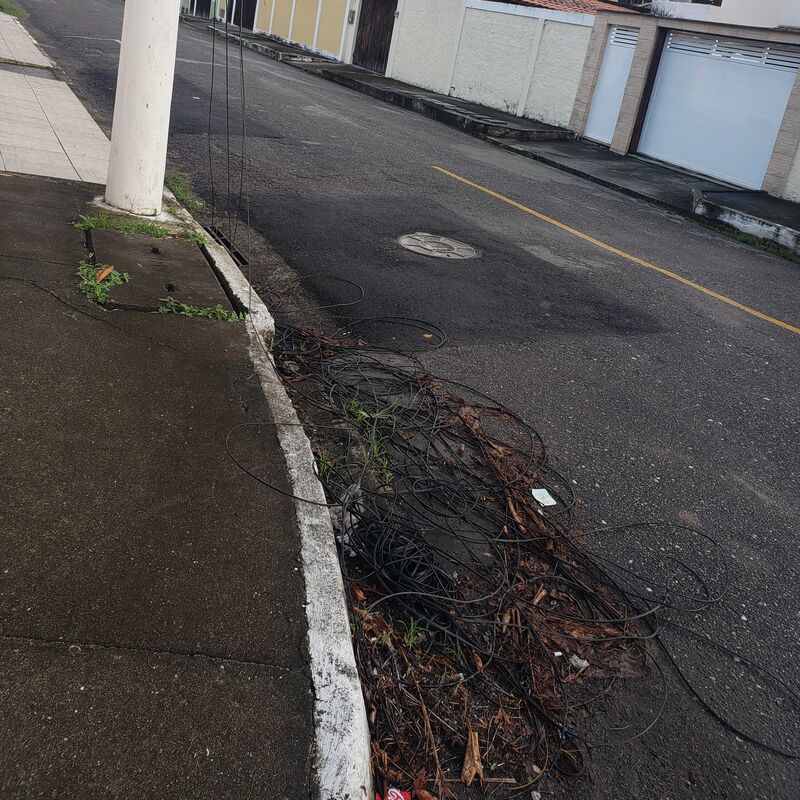 Imagem da publicação