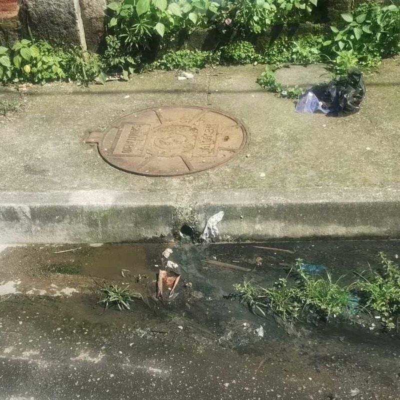 Imagem da publicação
