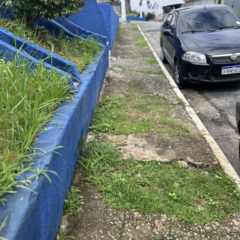 Imagem da publicação