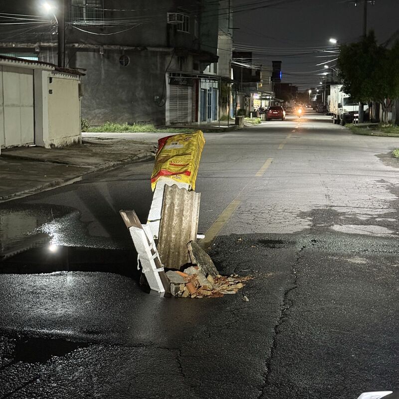 Imagem da publicação