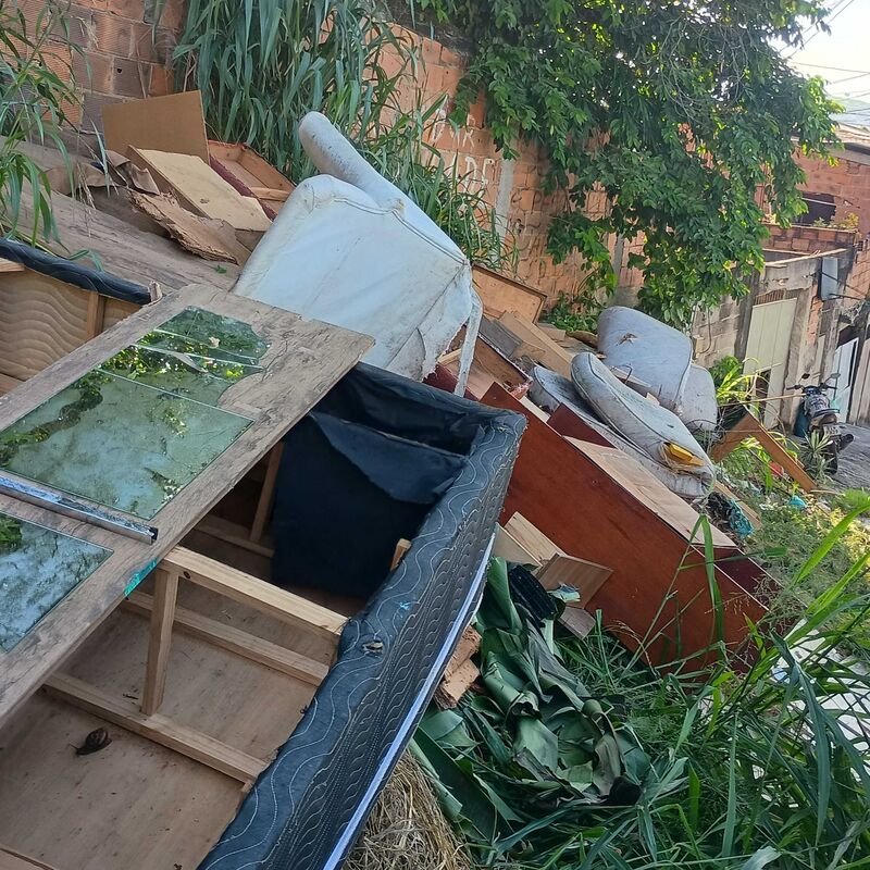 Imagem da publicação