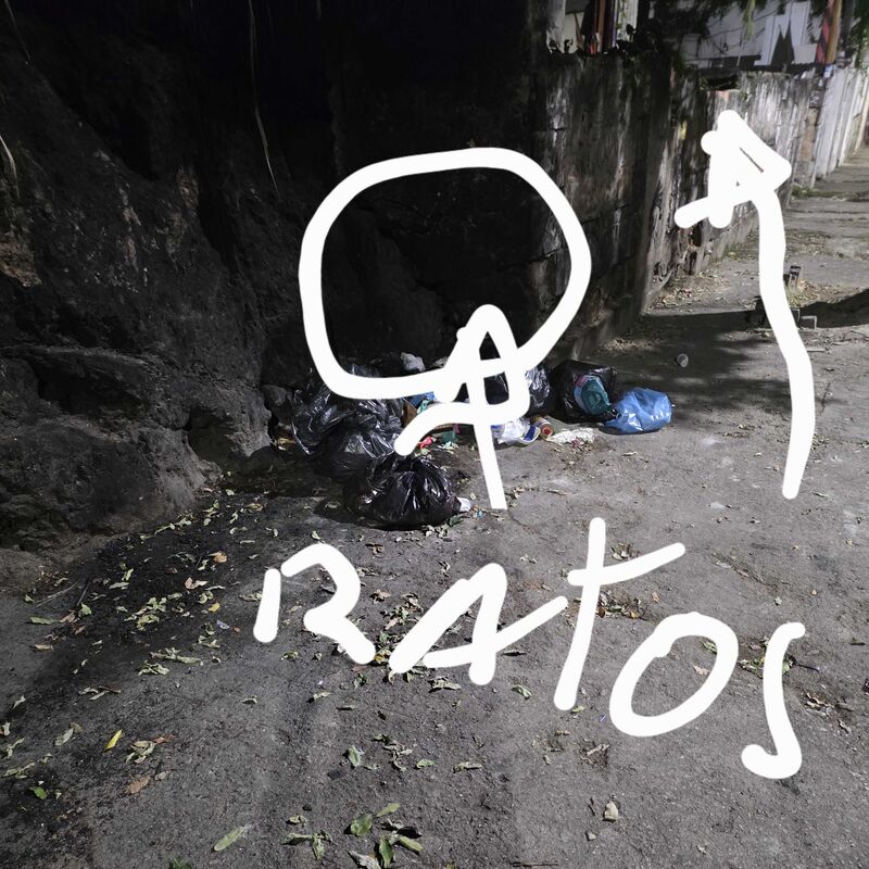 Imagem da publicação