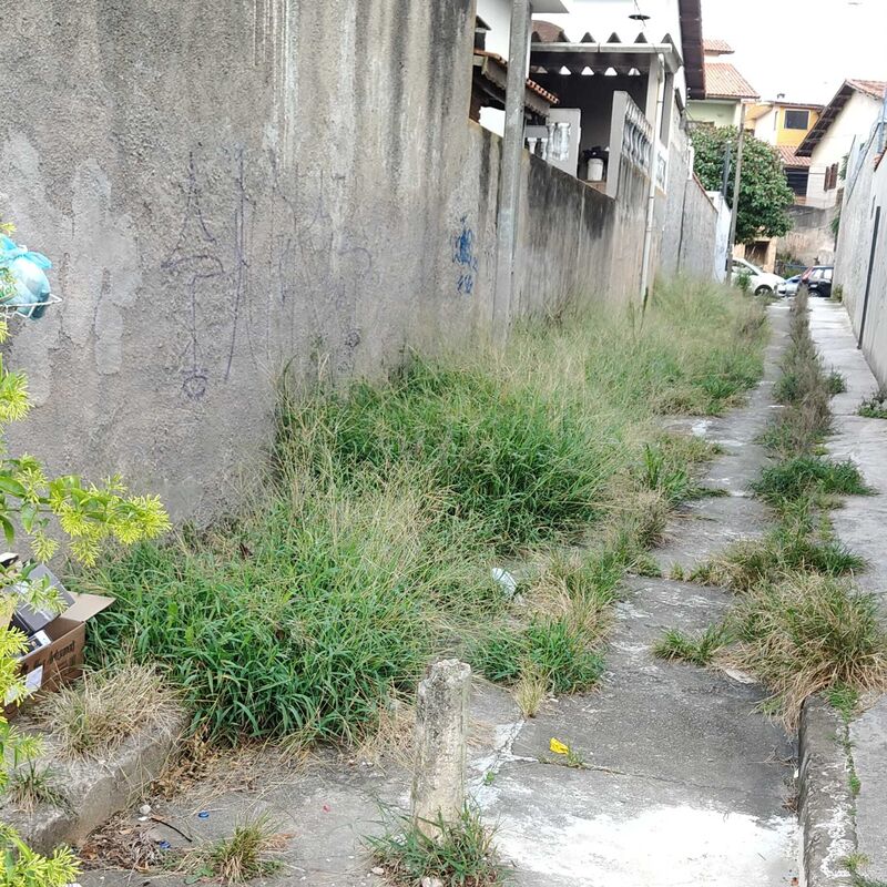 Imagem da publicação