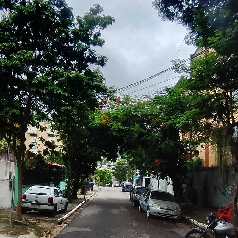 Imagem da publicação