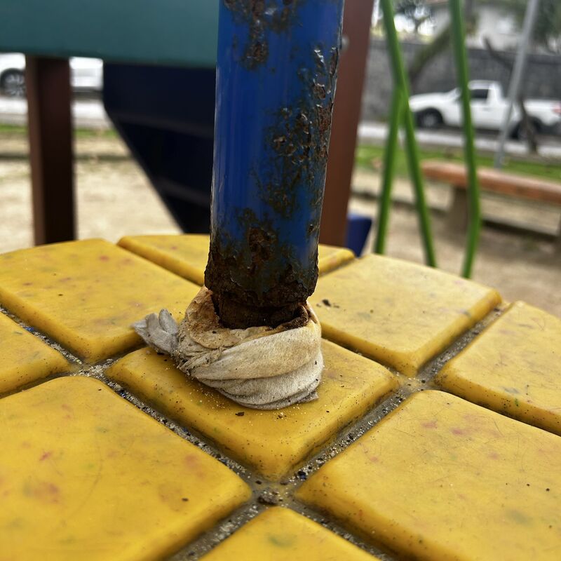 Imagem da publicação