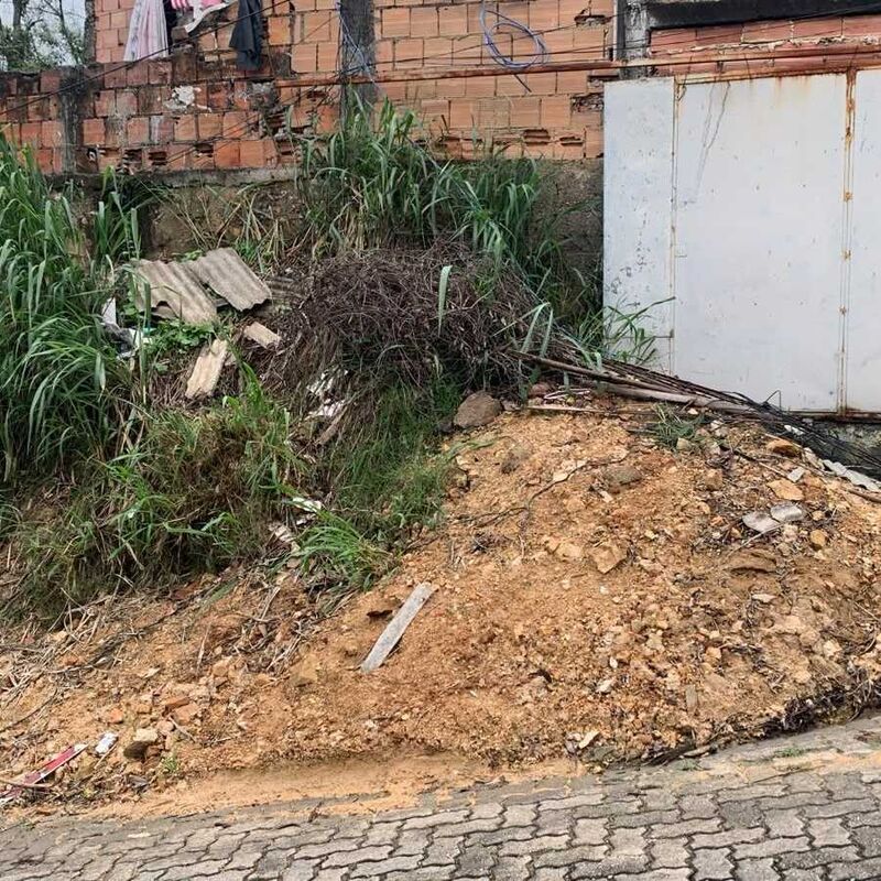Imagem da publicação