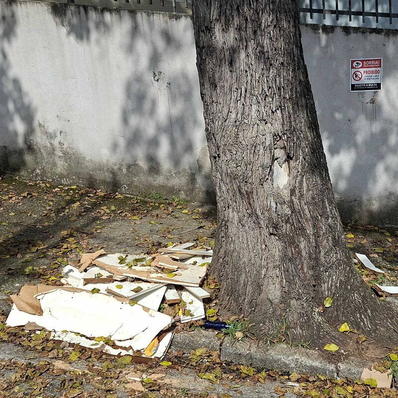 Imagem da publicação