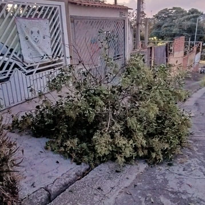 Imagem da publicação