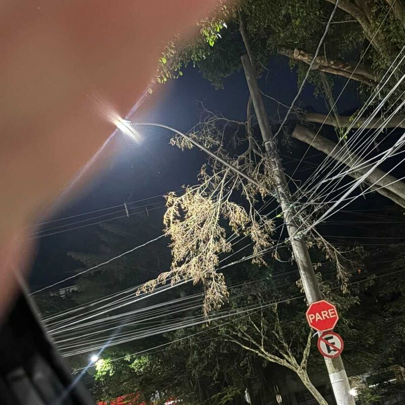 Imagem da publicação