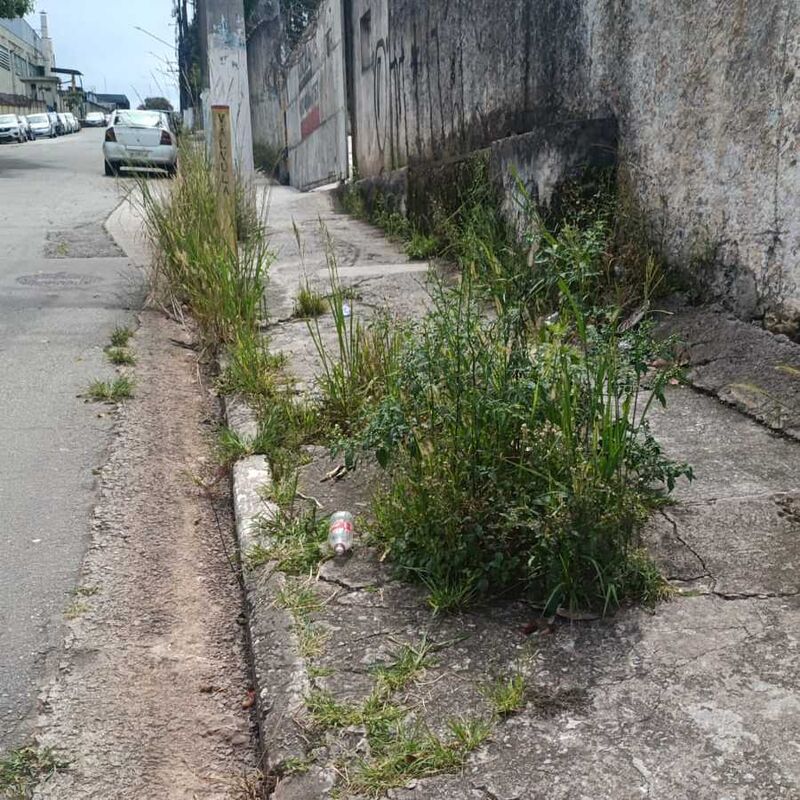 Imagem da publicação