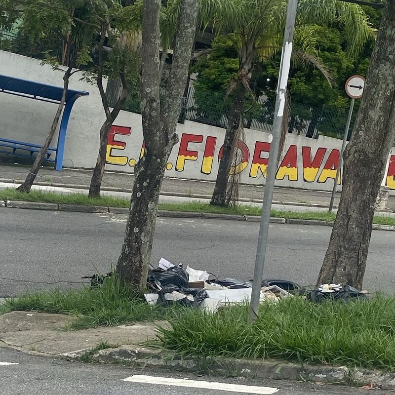 Imagem da publicação