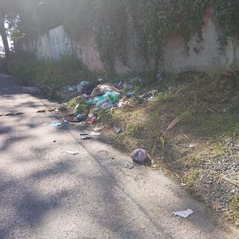 Imagem da publicação