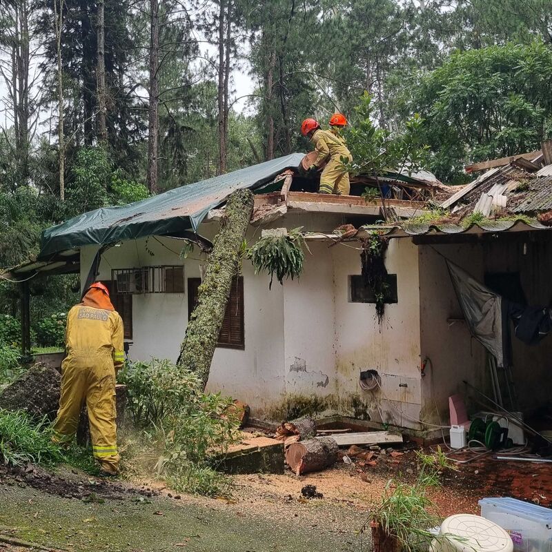 Imagem da publicação