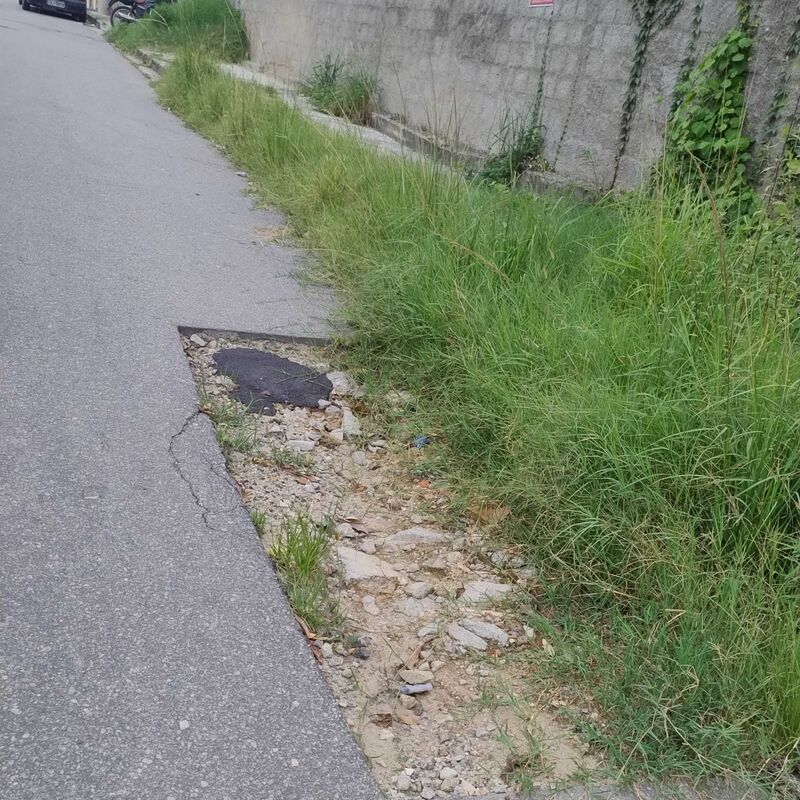 Imagem da publicação