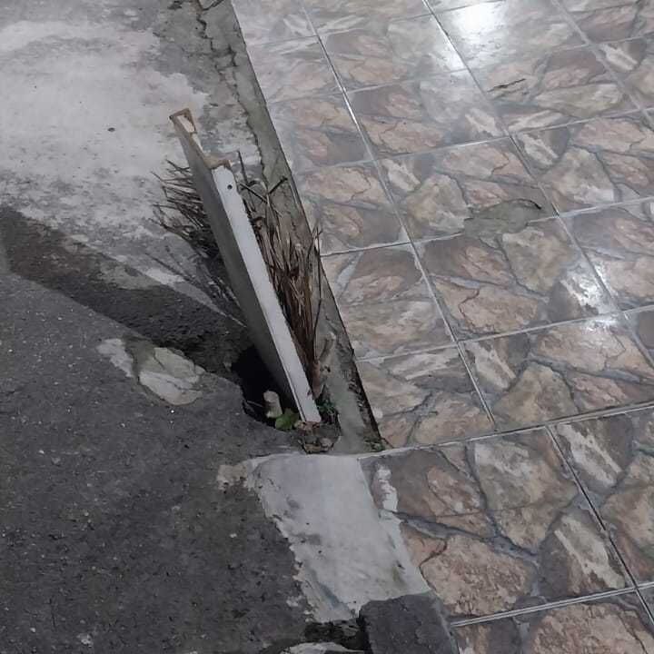 Imagem da publicação