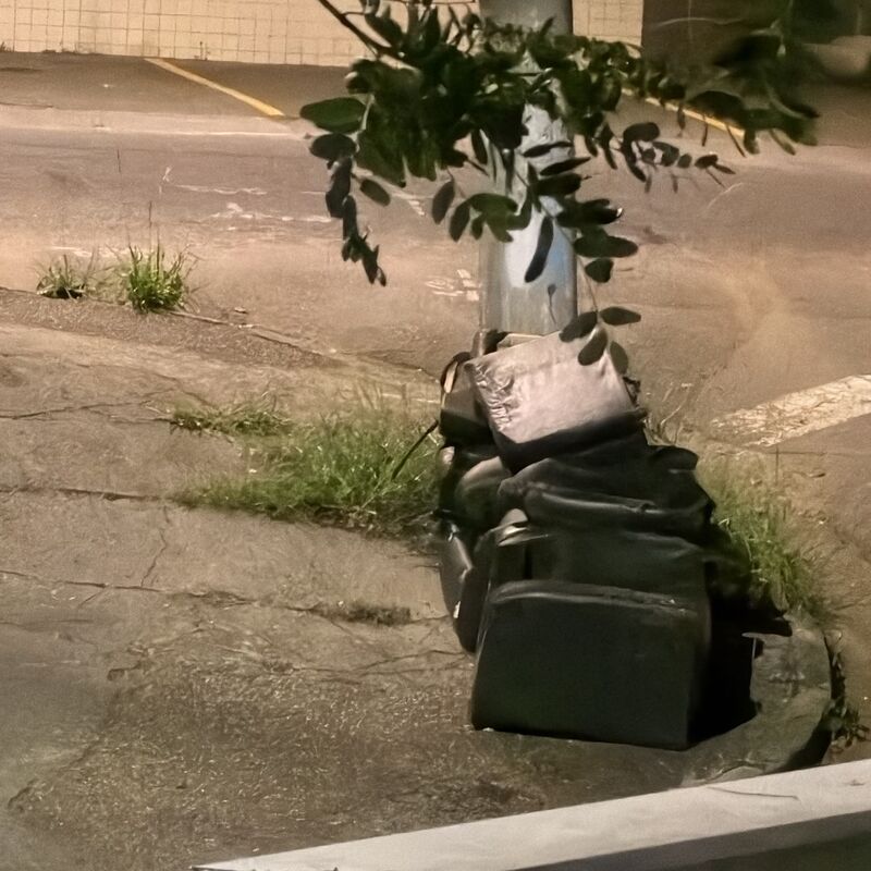 Imagem da publicação