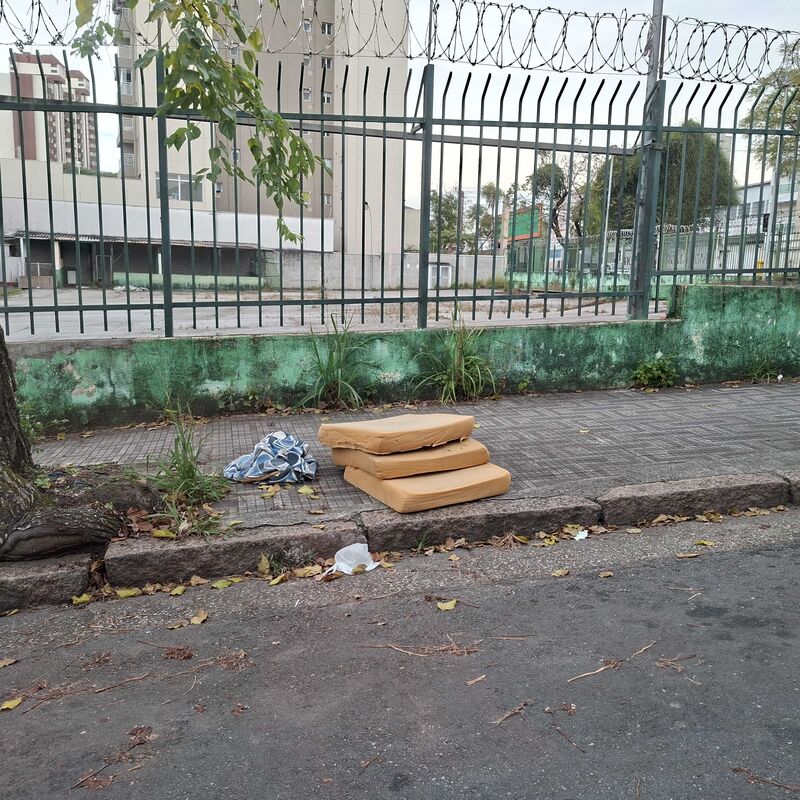 Imagem da publicação