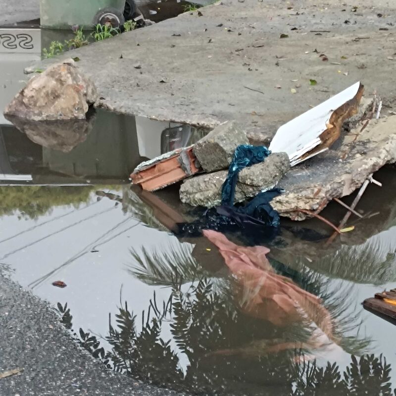 Imagem da publicação