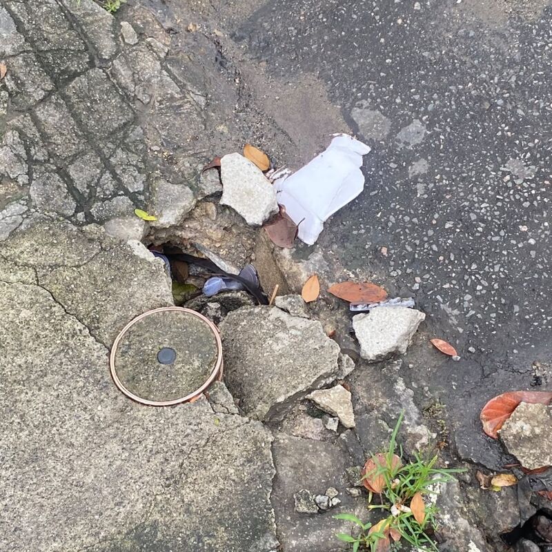 Imagem da publicação