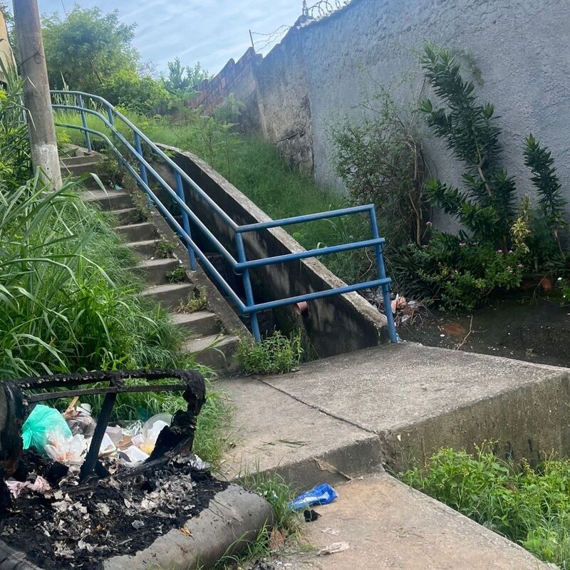 Imagem da publicação