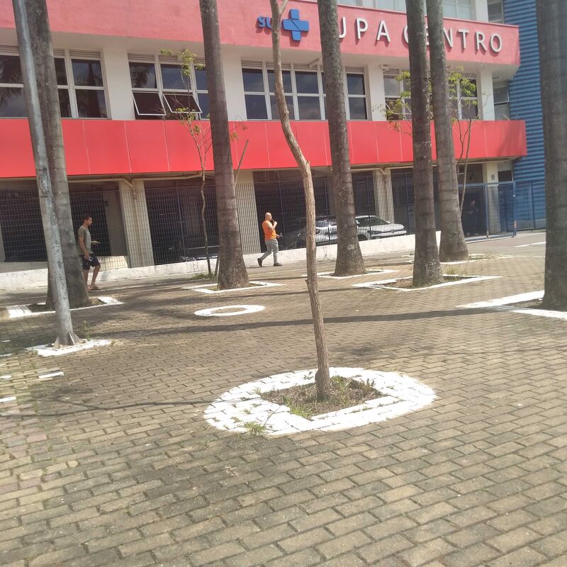 Imagem da publicação