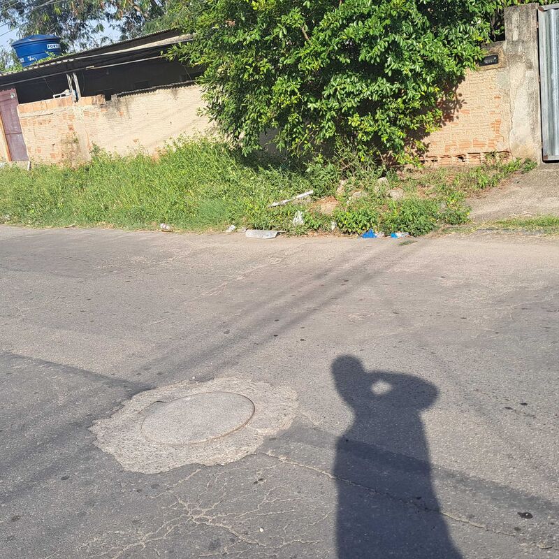 Imagem da publicação