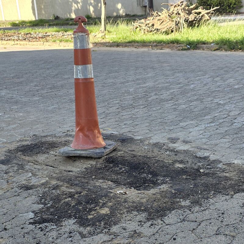 Imagem da publicação