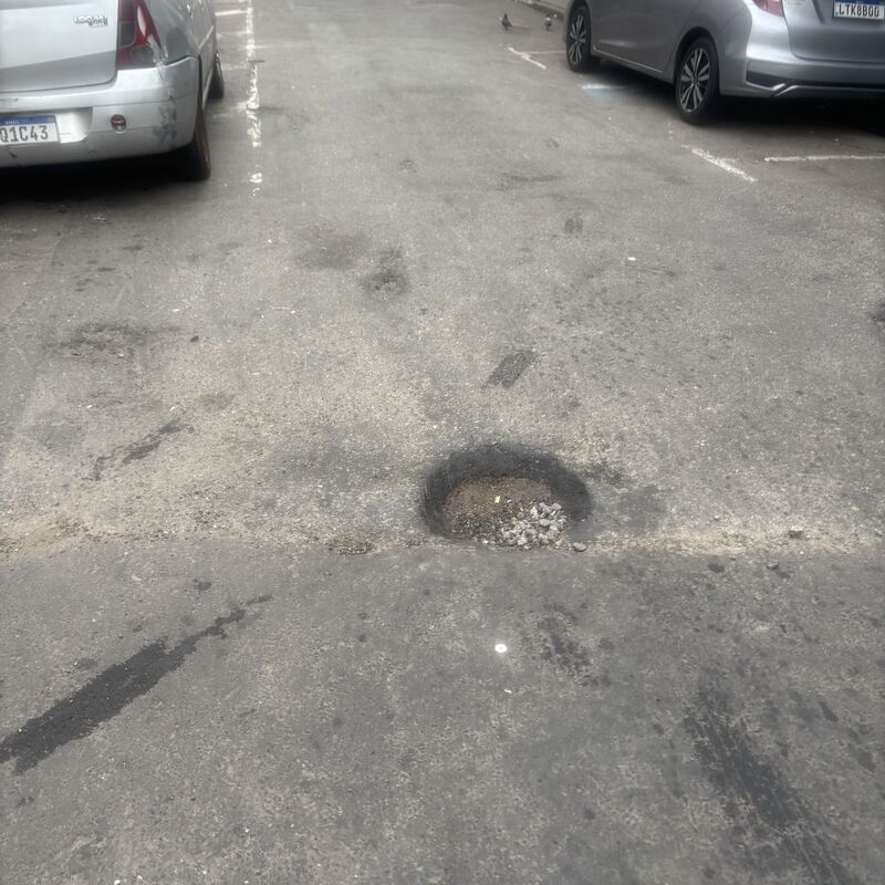 Imagem da publicação