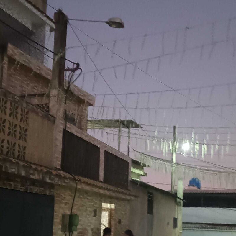 Imagem da publicação
