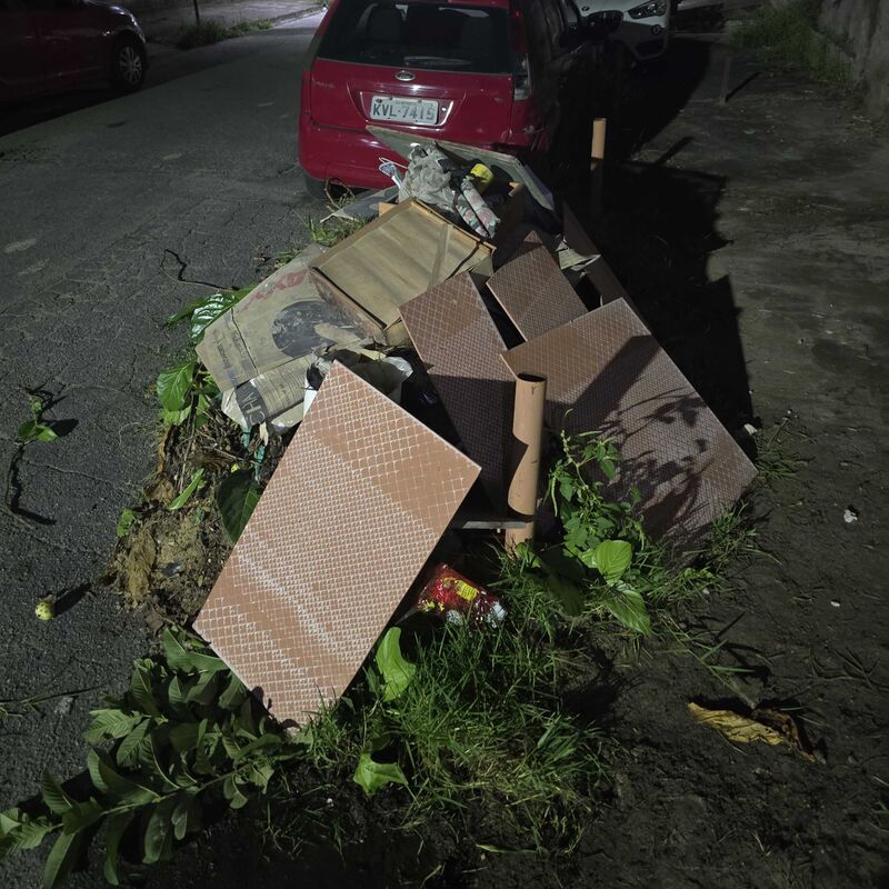 Imagem da publicação
