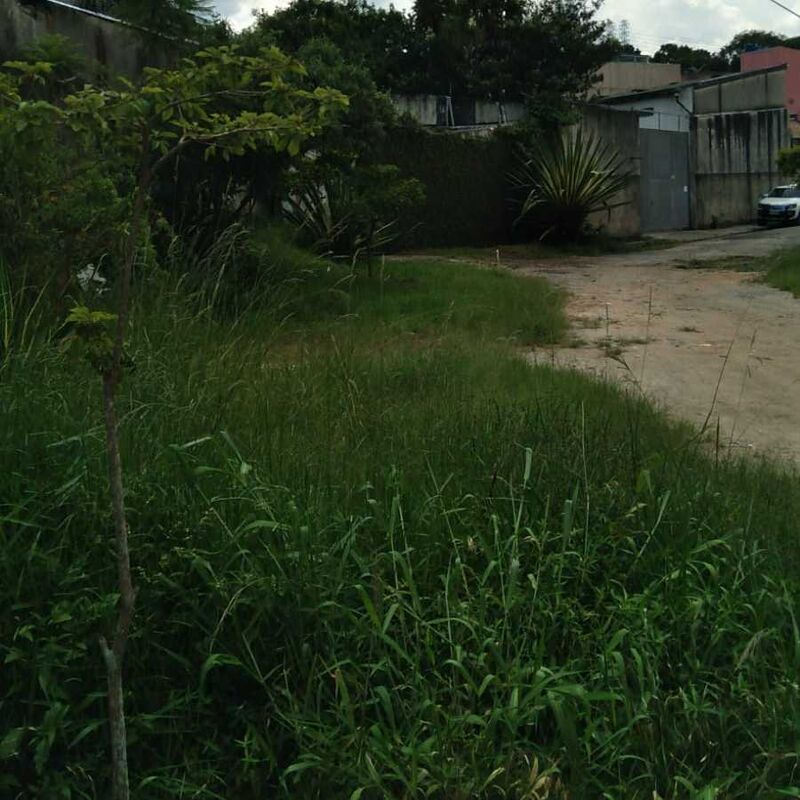 Imagem da publicação