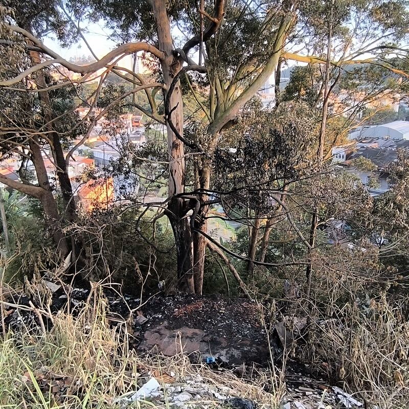 Imagem da publicação