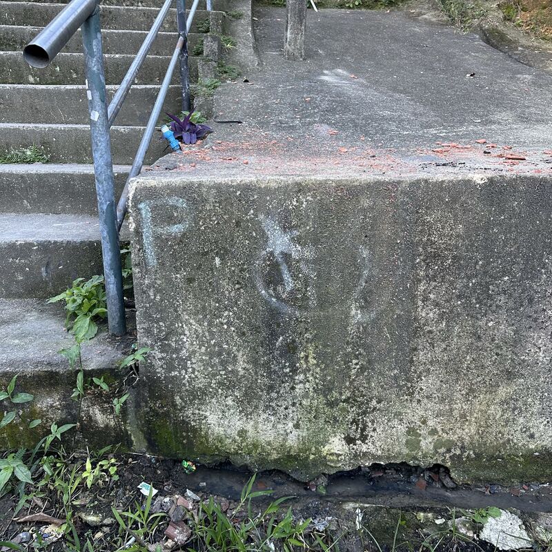 Imagem da publicação