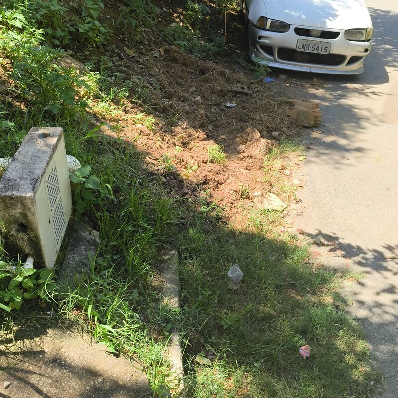 Imagem da publicação