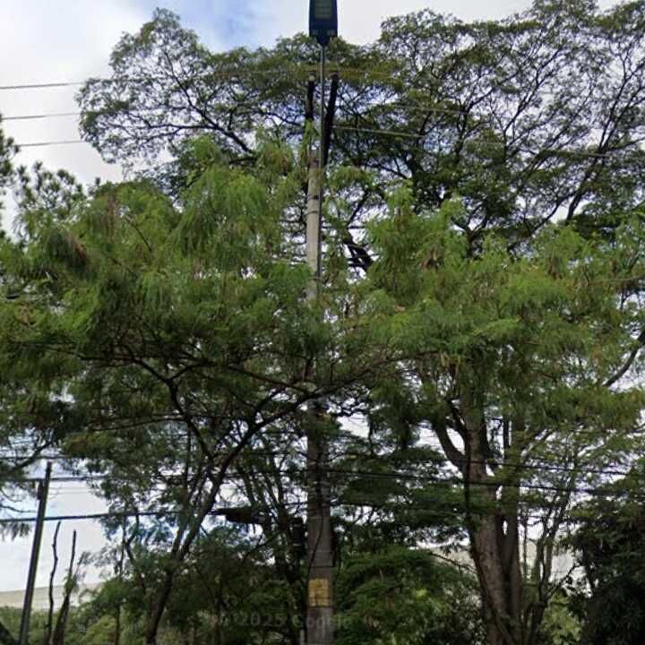 Imagem da publicação