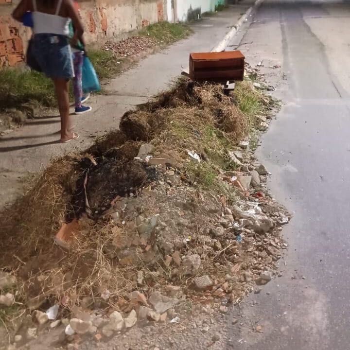 Imagem da publicação