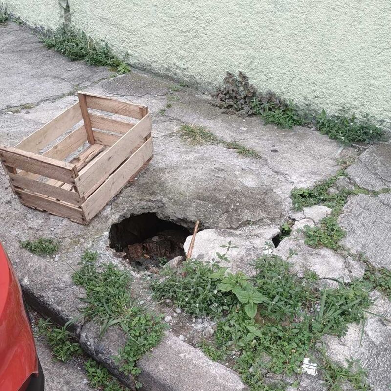 Imagem da publicação