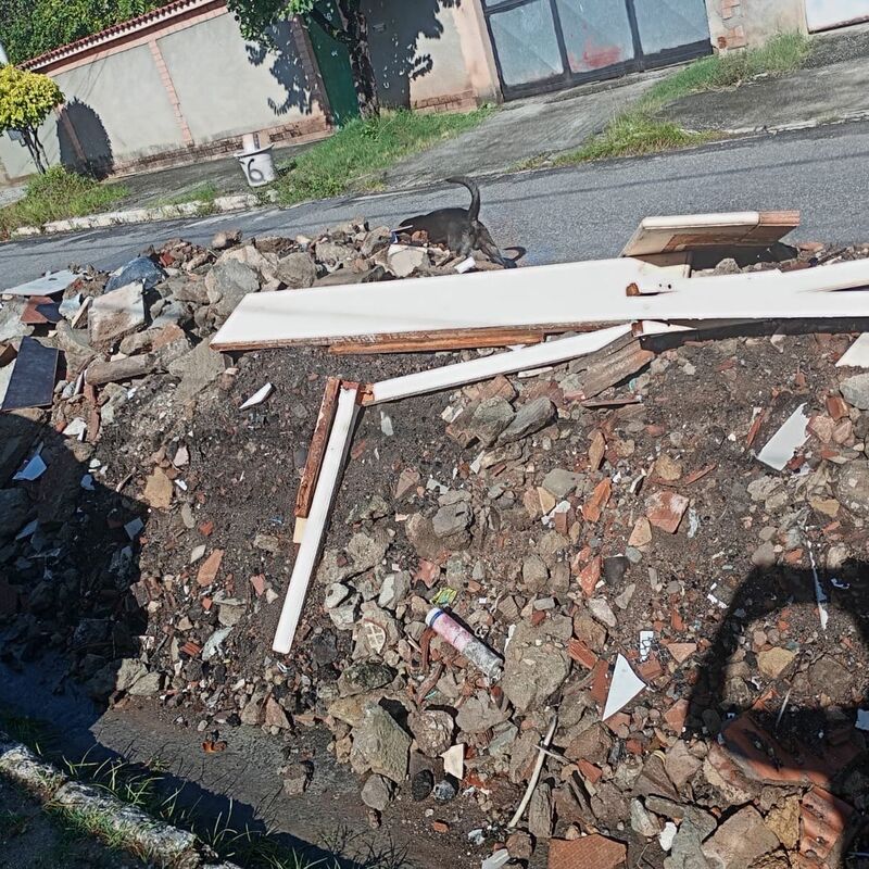 Imagem da publicação