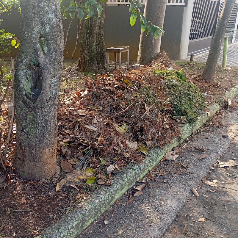 Imagem da publicação
