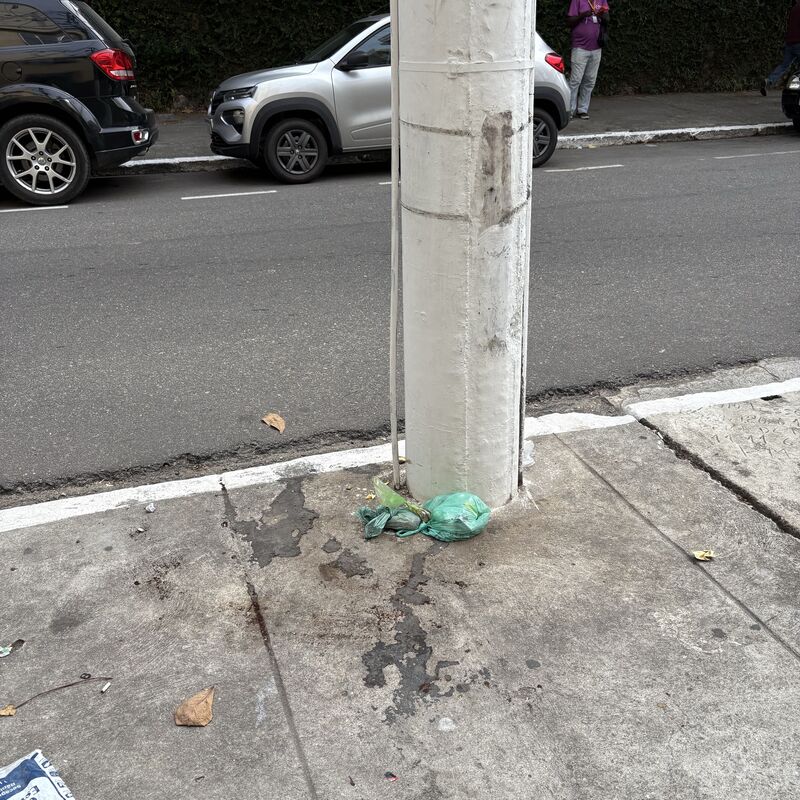 Imagem da publicação